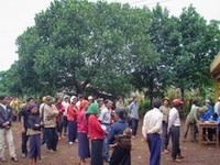 Tổ chức Y tế Thế giới kêu gọi tăng cường cung cấp thuốc điều trị sốt rét