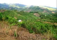 Đường Hồ Chí Minh và vấn đề môi trường ảnh hưởng đến bệnh sốt rét