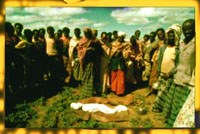 Một ngày có 3000 trẻ em chết vì sốt rét