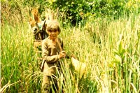 Diễn biến sốt rét dai dẳng ở Nam Trà My (Quảng Nam) và những giải pháp ưu tiên