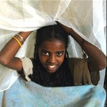 Bill Gates sẽ tặng thêm 258 triệu đô la để chống bệnh sốt rét