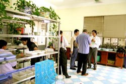 Tin Hoạt động của Viện Sốt rét- KST-CT Quy Nhơn tháng 11 năm 2005