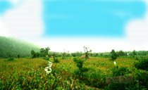 Tình hình sốt rét  huyện A Lưới của tỉnh Thừa thiên-Huế  năm 2005 và các giải pháp ngăn chận sốt rét quay trở lại