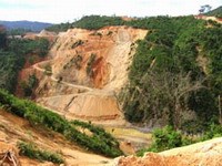 Kết quả chỉ đạo hoạt động phòng chống sốt rét tại  4 tỉnh Tây Nguyên: Gia Lai, Kon Tum, Dak lak và Dak Nông  tháng 2/2006