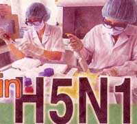 Công tác y tế dự phòng ngành y tế  tháng 2/2006