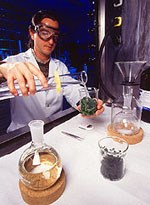 Tổ chức Y tế thế giới (TCYTTG) đã thông báo  có các Công ty dược phẩm ngừng tiếp thị thuốc Artemisinin