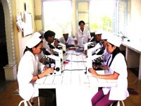 Thừa Thiên Huế tổ chức các lớp tập huấn và triển khai hoạt động phòng chống giun sán năm 2006