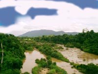 Kết quả kiểm tra và khống chế  sốt rét gia tăng ở xã  Quãng Trực, Huyện Đăk Rlấp tỉnh Đăk Nông