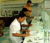 Các hoạt động tháng 5 và kế hoạch công tác tháng 6/2006