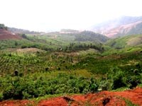 Chỉ đạo của Cục Y tế dự phòng Việt Nam-Bộ Y tếvề việc Khống chế sốt rét gia tăng tại tỉnh Đăk Nông