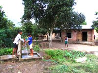 Tin về công tác y tế dự phòng ngành y tế  tháng 6/2006