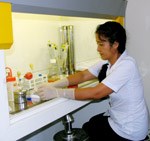 Nuôi cấy liên tục P.faciparum  giữ chủng ký sinh trùng sốt rét tại labô