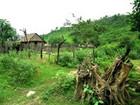 Kết quả hoạt động Santinel tại ba điểm nghiên cứu côn trùng truyền bệnh sốt rét thuộc huyện Vân Canh,tỉnh Bình Định.