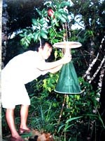 Cán bộ chuyên khoa côn trùng thuộc ngành sốt rét bắt muỗi để làm gì ?