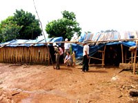 Cảnh báo về dịch sốt rét và giải pháp ngăn chặn dịch sốt rét ở khu vực miền Trung-Tây Nguyên.