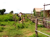 Những nỗ lực của Viện sốt rét-KST-CT Quy Nhơn khống chế gia tăng sốt rét tại khu vực  miền Trung- Tây Nguyên.