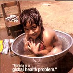 Gánh nặng sốt rét trên thế giới và chiến lược phòng chống sốt rét toàn cầu