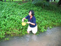 Nhận xét về diễn biến muỗi truyền bệnh sốt rét tại một số điểm có sốt rét gia tăng và tử vong sốt rét tại tỉnh Phú Yên năm 2006