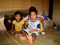 Nguyên nhân và các khuyến nghị khống chế sốt rét gia tăng tại tỉnh Bình Định