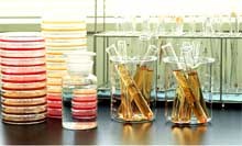 Các nội dung và yêu cầu cần thiết để tiêu chuẩn hóa các Phòng thí nghiệm