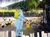 Tin về công tác y tế dự phòng  ngành y tế  tháng 1/2007