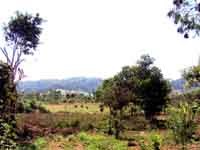 Cảnh báo nguy cơ sốt rét năm 2007 ở khu vực miền Trung-Tây Nguyên và tăng cường giám sát, chỉ đạo phòng chống sốt rét trong dịp Tết Nguyên đán