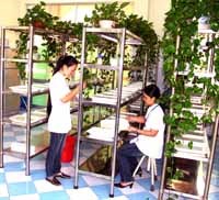 Các hoạt động chính của Viện Sốt rét-KST-CT Quy Nhơn trong tháng 1/2007