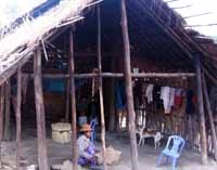 Khái niệm về ký sinh trùng lạnh và các trường hợp mắc sốt rét nhưng không có biểu hiện cơn sốt