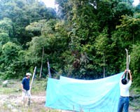 Tầm quan trọng của giám sát véc tơ truyền bệnh sốt rét và màng lưới chuyên khoa côn trùng ở khu vực miền Trung-Tây Nguyên