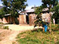 Diễn biến tình hình sốt rét 3 tháng đầu năm và yêu cầu tăng cường thực hiện các biện pháp phòng chống sốt rét ở khu vực miền Trung-Tây Nguyên