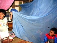 Tỉnh Thừa Thiên-Huế chủ động phòng chống dịch bệnh sốt rét trong năm 2007