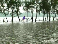 Chỉ thị của Bộ Y tế về việc triển khai công tác phòng chống lụt bão và tìm kiếm, cứu nạn năm 2007