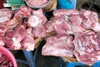 Vấn đề cần biết về bệnh lợn tai xanh và bệnh liên cầu lợn