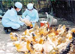 Tin hoạt động y tế dự phòng ngành y tế  tháng 8/2007