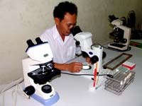 Tỉnh Thừa Thiên Huế khống chế tốt tình hình sốt rét  8 tháng đầu năm 2007