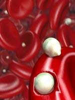 Thông tin cập nhật về liên quan của gen ký sinh trùng sốt rét với tử vong và lan truyền sốt rét