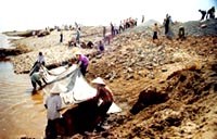 Vấn đề cần biết về bệnh kiết lỵ