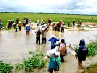 Ngành y tế các tỉnh miền Trung-Tây Nguyên sẵn sàng đối phó với cơn bão số 6 (Peipah) và nguy cơ dịch bệnh do lũ lụt kéo dài