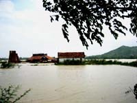 Viện Sốt rét-KST-CT Quy Nhơn tích cực phòng chống cơn bão số 6  và kiểm soát dịch bệnh do bão lũ gây ra.