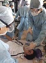 Quy trình xử lý dịch tả do Bộ Y tế ban hành