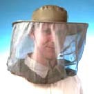 Hiệu quả của nguyên tố kẽm trong điều trị sốt rét do P.falciparum ở trẻ em (Effect of zinc on the treatment of Plasmodium falciparum malaria in children)