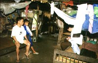 Muỗi truyền bệnh sốt rét huyện Nam Đông  sau 2 năm ngừng tẩm màn ngủ bằng hóa chất diệt côn trùng