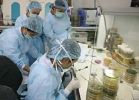 Tin hoạt động y tế dự phòng tháng 12/2007