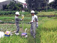 Thái độ xử trí nhiễm độc và tình trạng dị ứng với thuốc, hóa chất diệt hoặc xua đuổi côn trùng