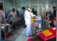 Chỉ đạo của Bộ Y tế về phục vụ y tế trong dịp Tết Nguyên đán-Mậu Tý 2008