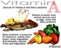Vai trò của Vitamin A và kẽm trong điều trị bệnh sốt rét