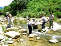 Tin hoạt động y tế dự phòng tháng 4 năm 2008