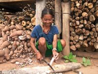 Viện sốt rét-KST-CT Quy Nhơn triển khai mô hình quản lý các bệnh do véc tơ truyền tại huyện Vân Canh, tỉnh Bình Định.