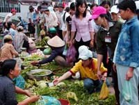 Rau ở chợ nhiễm ký sinh trùng nghiêm trọng