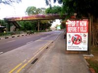 Đôi điều bàn luận khẩu hiệu hành động phòng chống bệnh sốt xuất huyết của Việt Nam và Singapore